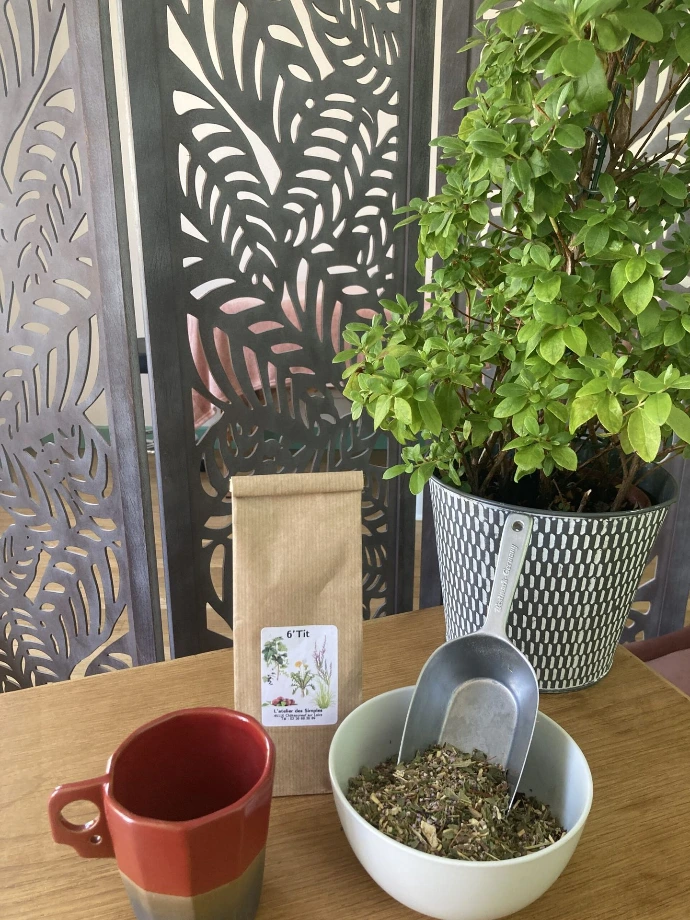 Préparation tisane de plantes sèches sélectionnées