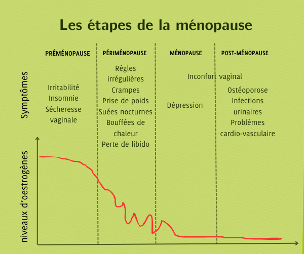 Les étapes de la ménopause