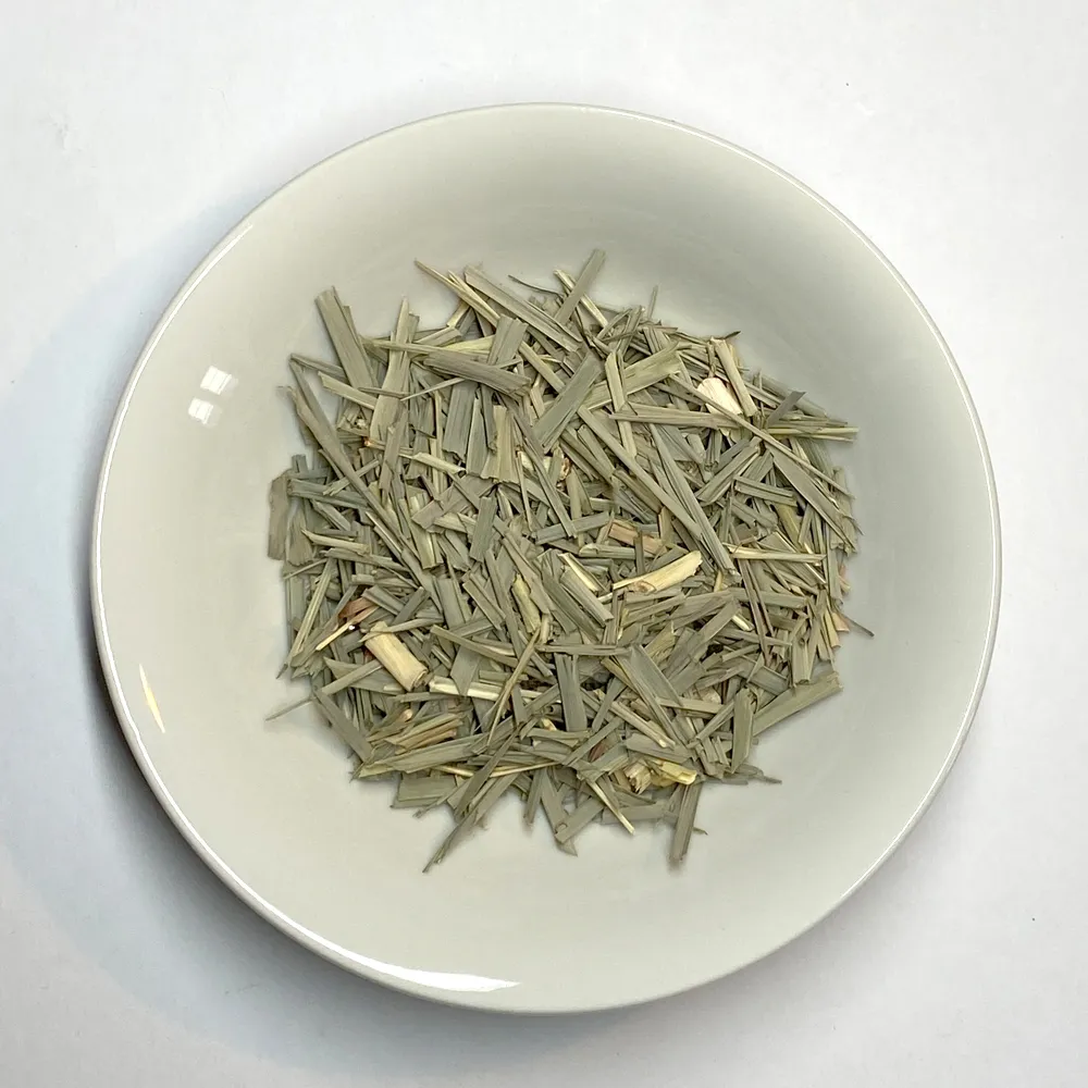 PlanteCitronnelle.webp