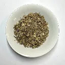 PlanteEchinacee.webp