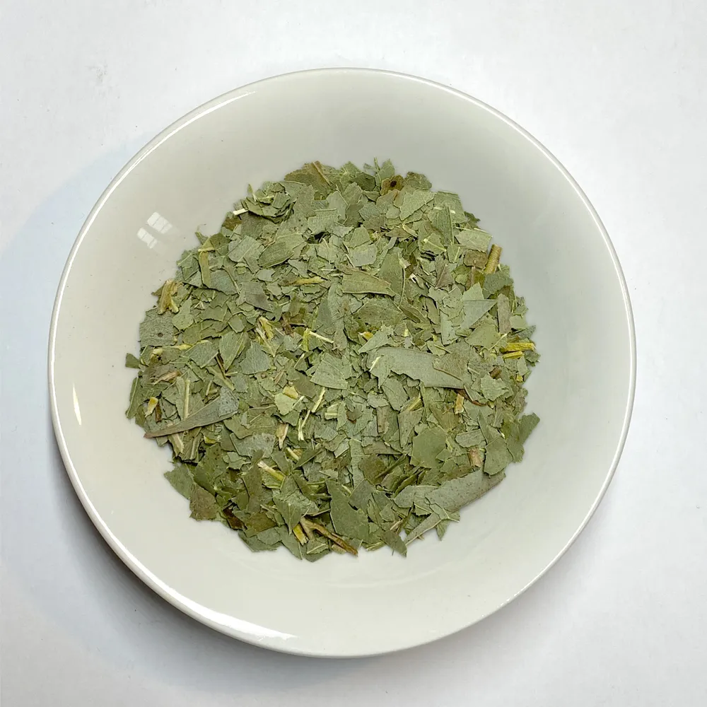 PlanteEucalyptus.webp