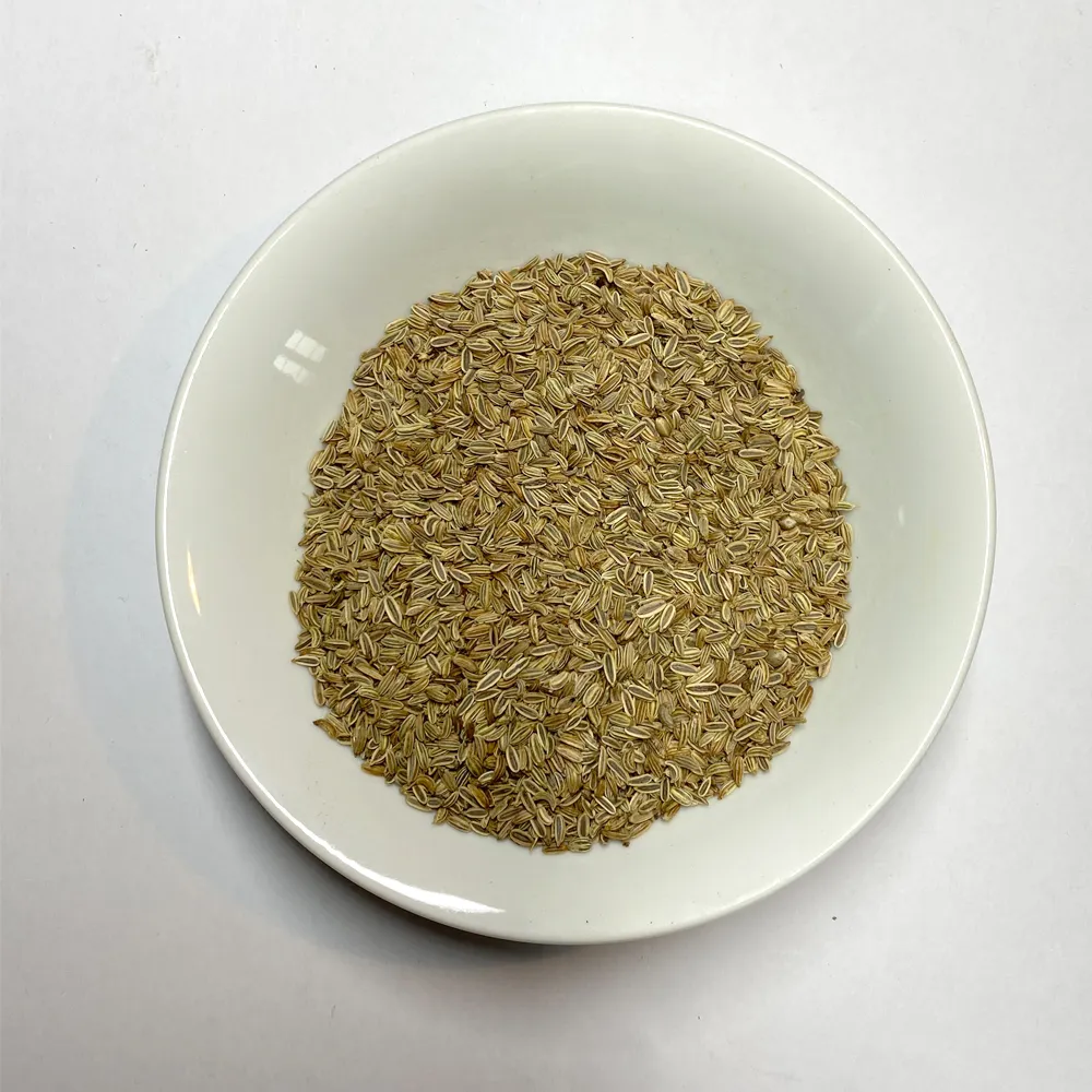 PlanteFenouil.webp