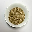PlanteFenouil.webp