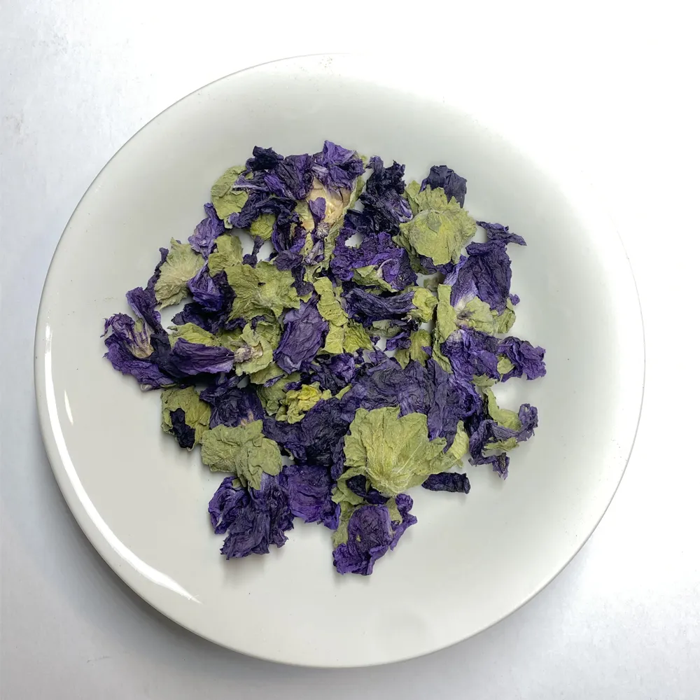 PlanteMauve.webp