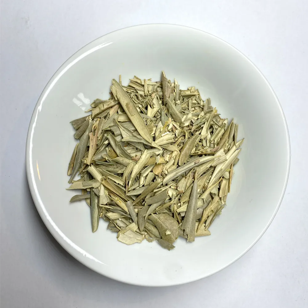 PlanteOlivierFeuilles.webp