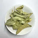 PlanteOrangerFeuilles.webp