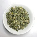 PlanteOrtiePiquante.webp