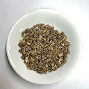 PlantePissenlitRacine.webp