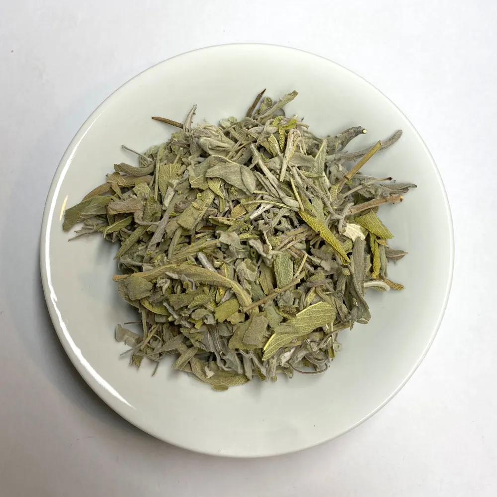 PlanteSaugeOfficinales.webp