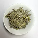 PlanteSaugeOfficinales.webp