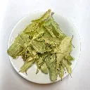 PlanteTilleul.webp