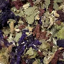 Melange-atout-pic.webp