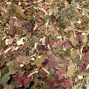 Melange-jambes-legeres.webp