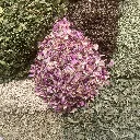 IMG_3143-scaled.webp