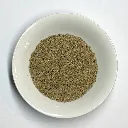 PlanteAnisVert.webp