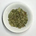 PlanteBouleauFeuille.webp