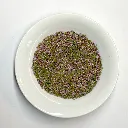 PlanteBruyere.webp