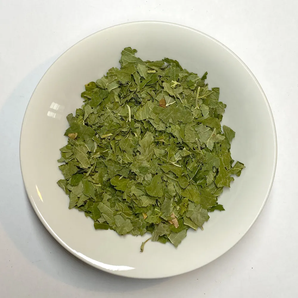 PlanteCassisFeuilles.webp