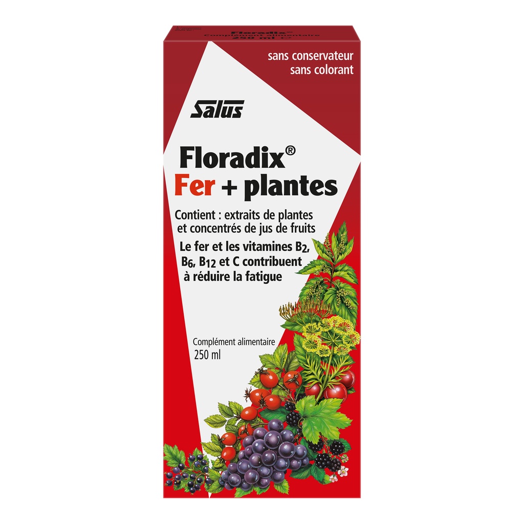 FLORADIX® FER + PLANTES SIROPS 250 ML