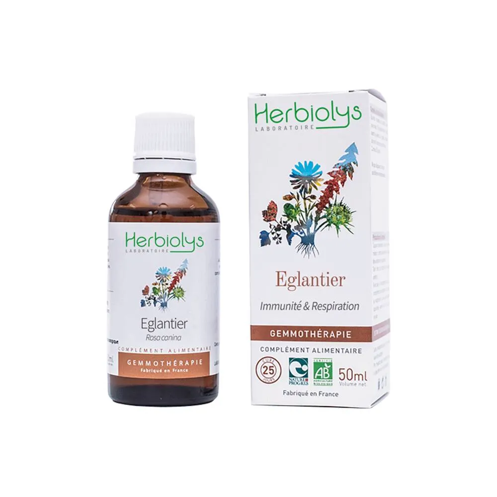 EGLANTIER BOURGEONS 50 ML