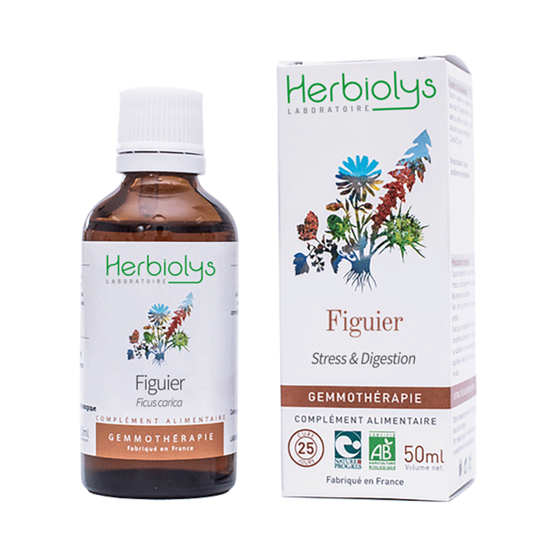 FIGUIER BOURGEONS 50 ML