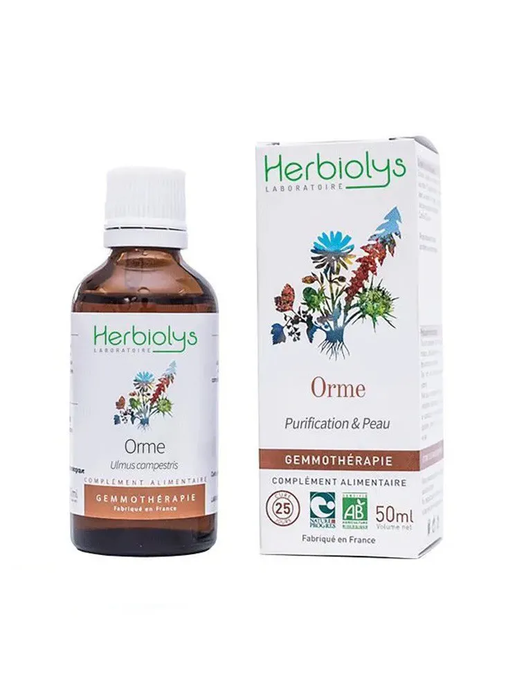 ORME CHAMPÊTRE BOURGEONS 50 ML