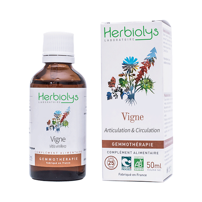 VIGNE BOURGEONS 50 ML