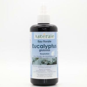 ASTERALE_EF-Eucalyptus-globulus