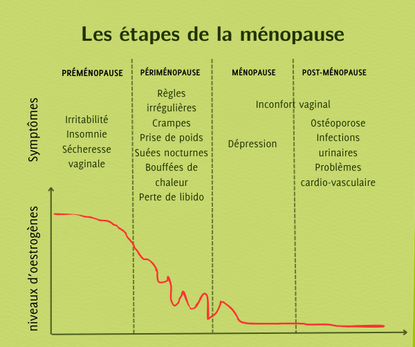 préménopause périménopause ménopause